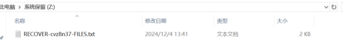 image-20241209193930789